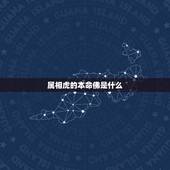 属相虎的本命佛是什么，生肖虎的本命佛是什么