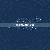 属狗的人今日运势，70年属狗哪年走大运