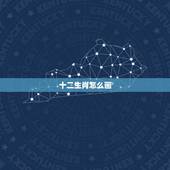 十二生肖怎么画，十二生肖所有动物怎么画