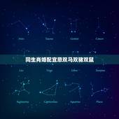 同生肖婚配宜忌双马双猪双鼠，属老鼠和什么属相相配？