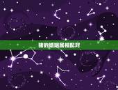 猪的婚姻属相配对，生肖猪婚姻配对