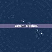 兔和猴在一起有财运吗，兔子和猴子在一起的爱情会怎么样？