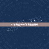 87年兔生2023年兔宝宝好吗，87年属兔34岁有一劫2022