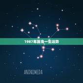 1987年属兔一生运势，2010年运势 属兔