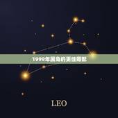 1999年属兔的更佳婚配，1999年属兔更佳结婚年