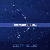 属狗的和属蛇什么属相，属蛇的人和属狗的人生什么属性的孩子好