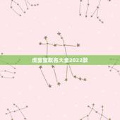 虎宝宝取名大全2022款，2022 年男宝宝名字推荐
