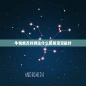 牛爸爸龙妈妈生什么属相宝宝最好，牛爸爸鼠妈妈生什么生肖宝宝最好