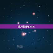虎人遇虎年2022，2022年百度百科