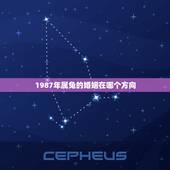 1987年属兔的婚姻在哪个方向，1987年属兔的命运和婚姻怎么样？
