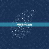 单脚是什么生肖，一只脚会走路是什么生肖？