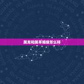 属龙和属羊姻缘怎么样，属龙男和属羊女婚姻如何&amp;#8230;.