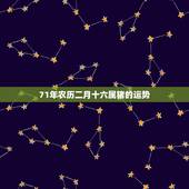 71年农历二月十六属猪的运势