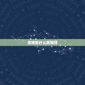 龙婚配什么属相好，属相龙和什么配对好