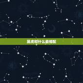 属虎和什么最相配，猪和什么属相最配