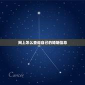 网上怎么查询自己的婚姻信息，网上怎么查自己的婚姻信息