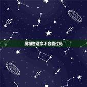 属相合适命不合能过吗，属相不合真的不能结婚吗