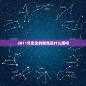 2011年出生的属兔是什么属相，2011年属兔是什么命