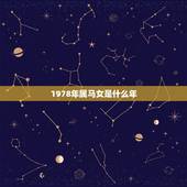 1978年属马女是什么年，1978年属马的到底是火命还是土命