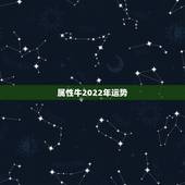属性牛2022年运势，1973年属牛人在2022年的运势