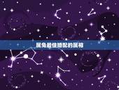 属兔最佳婚配的属相，属兔的男人和什么属相最配