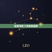 生肖马生11月份的运势，属马人的运势