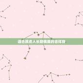 适合属虎人长期佩戴的吉祥物，1986年属虎的人2016年要带彳什么吉祥