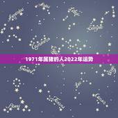 1971年属猪的人2022年运势，1971年大金猪在2022年虎年运程