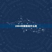 2004年属猴是什么命，2004年出生什么命