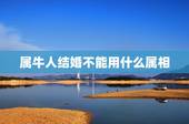 属牛人结婚不能用什么属相，属牛的人和那个属相的人一定不可以结婚呢？