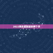 2022网名最新版的两个字，网名2021俩字