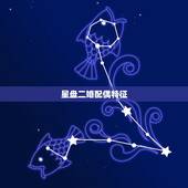 星盘二婚配偶特征，麻烦哪位帮我解下星盘，事业，爱情，另一半？