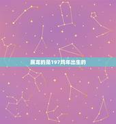 属龙的是197鸡年出生的，属龙初几出生好