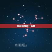 家庭适合养什么鱼，家庭鱼缸养什么鱼好