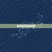 兔厉害还是龙厉害，男孩属兔好还是属龙好