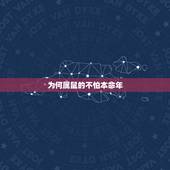 为何属鼠的不怕本命年，2023年属鼠的本命年要注意什么？