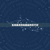 生肖属虎的和属鼠的好不好，生肖属虎2022 年运势