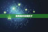 龙狗相冲结婚例子，龙怕狗还是狗怕龙