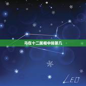 马在十二属相中排第几，马在十二属相中排第几拜托了各位 谢谢