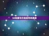 54年属马今年会死吗男命，属马今年会不会死