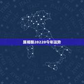 属相猴20220今年运势，六八年生属猴人，今年运气怎么样