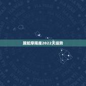 属蛇摩羯座2022天运势，摩羯座2021年运势