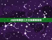 2009年腊月二十三生属相是啥，2004年腊月二十三出生的女生属什么，