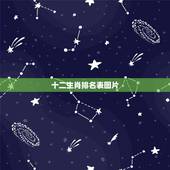 十二生肖排名表图片，12生肖完整图片