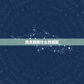 属虎跟属什么的最配，属虎和什么属相最配