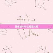 属相当中什么相是大相，属相不配的