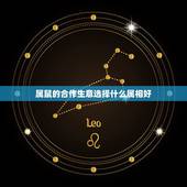 属鼠的合作生意选择什么属相好，属鼠和什么属相合伙做生意好