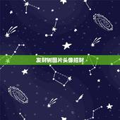 发财树图片头像招财，谁有高清大图的发财树或招财树图片
