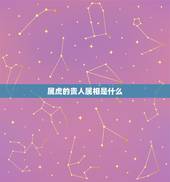 属虎的贵人属相是什么，属虎与属羊的好吗