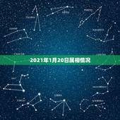 2021年1月20日属相情况，2021年20岁属什么生肖